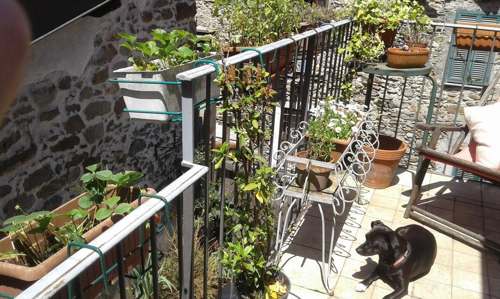Casa Med Holiday Home Isolabona エクステリア 写真
